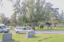 Enlarge photo 110