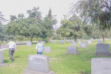 Enlarge photo 115