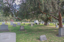 Enlarge photo 116