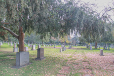 Enlarge photo 117