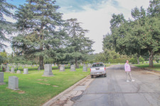 Enlarge photo 118