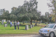 Enlarge photo 120