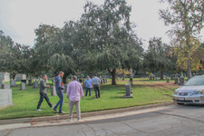 Enlarge photo 121