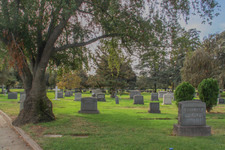 Enlarge photo 123
