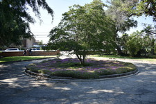 Enlarge photo 22