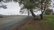 Mount Hollywood Drive