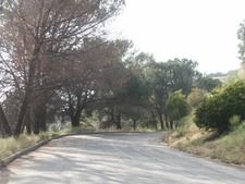 Enlarge photo 14