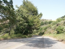 Enlarge photo 17