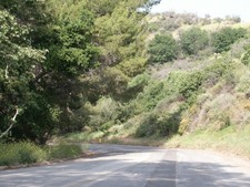 Enlarge photo 18