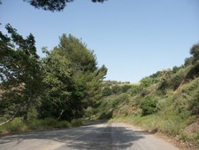 Enlarge photo 19