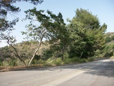 Enlarge photo 20