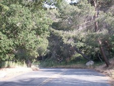 Enlarge photo 21