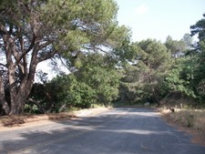 Enlarge photo 22
