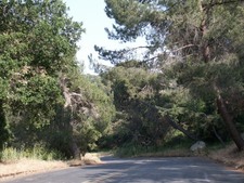 Enlarge photo 23