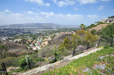 Enlarge photo 70