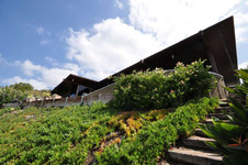 Enlarge photo 71