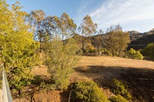 Enlarge photo 102
