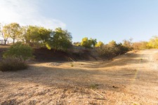 Enlarge photo 121