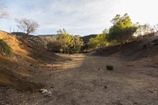 Enlarge photo 125