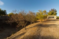 Enlarge photo 127
