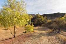 Enlarge photo 128