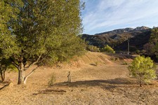 Enlarge photo 129