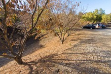 Enlarge photo 136