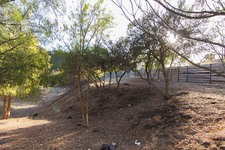 Enlarge photo 137