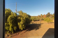 Enlarge photo 71