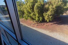 Enlarge photo 73