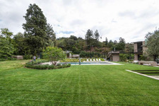 Enlarge photo 80