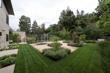 Enlarge photo 81