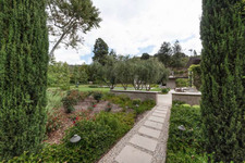 Enlarge photo 84