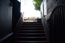 Enlarge photo 44