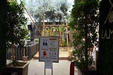 Enlarge photo 41