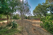 Enlarge photo 59