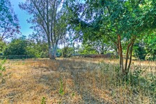 Enlarge photo 60