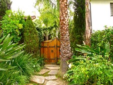 Enlarge photo 35