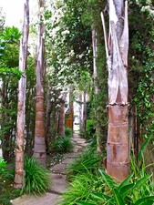 Enlarge photo 6