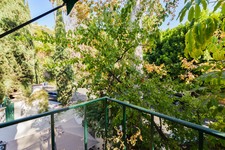 Enlarge photo 37