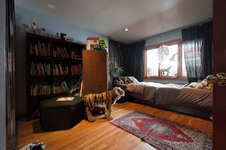 Enlarge photo 45