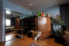 Enlarge photo 47