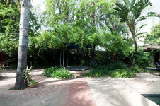 Enlarge photo 64