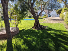 Enlarge photo 63