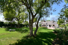Enlarge photo 59