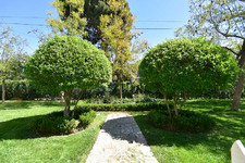 Enlarge photo 63