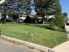 Enlarge photo 32