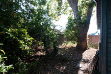 Enlarge photo 38