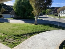 Enlarge photo 28