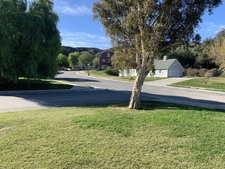Enlarge photo 106